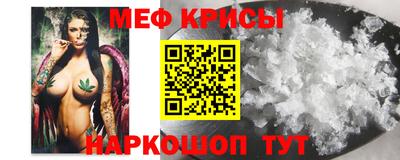 крисы Кингисепп