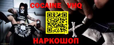 крисы Кингисепп