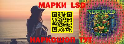 крисы Кингисепп