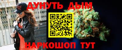 крисы Кингисепп