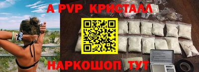 крисы Кингисепп