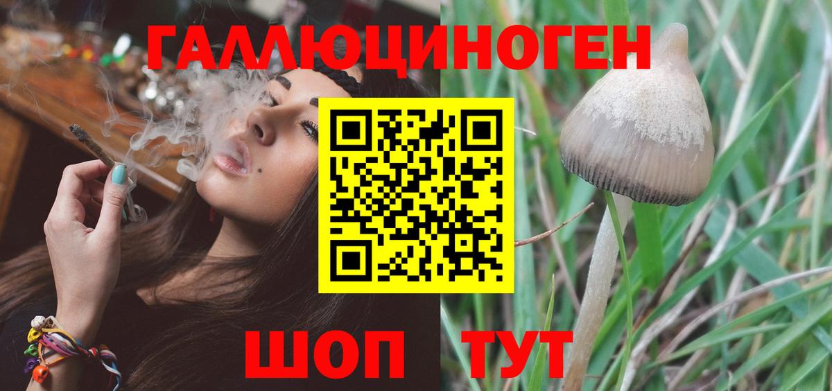 Галлюциногенные грибы прущие грибы  Вход с VPN  Кропоткин  Псилоцибиновые грибы Psilocybe 